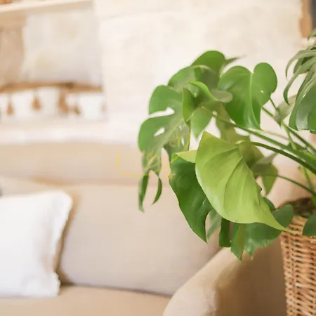 Trulli & Dimore - I Trulli Di Carole Prázdninový dům