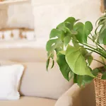 Trulli & Dimore - I Trulli Di Carole Holiday home