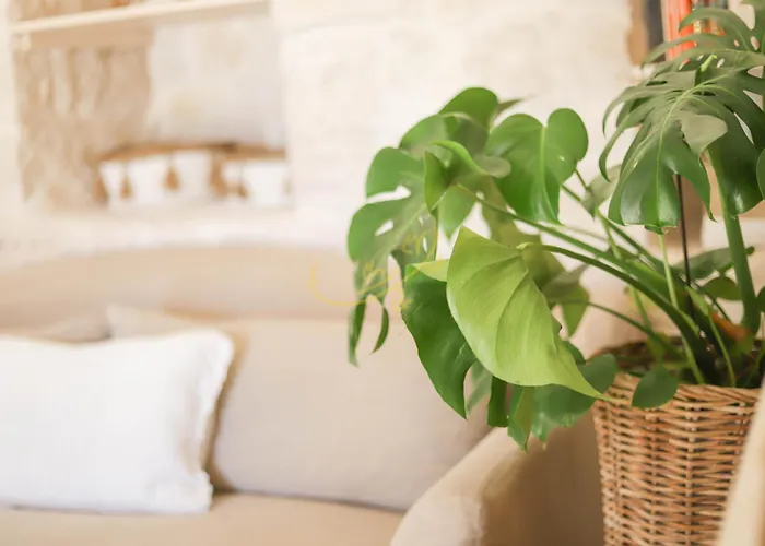 Trulli & Dimore - I Trulli Di Carole בית נופש